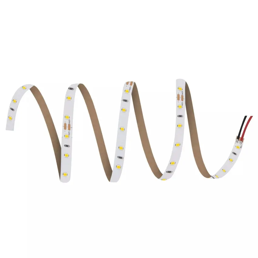 LDV_asset-5916659 (2).jpg