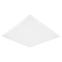 LDV_asset-5907648 (2).jpg