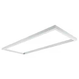 LDV_asset-3604875 (2).jpg