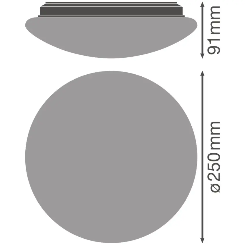 LDV_asset-3560671 (2).jpg