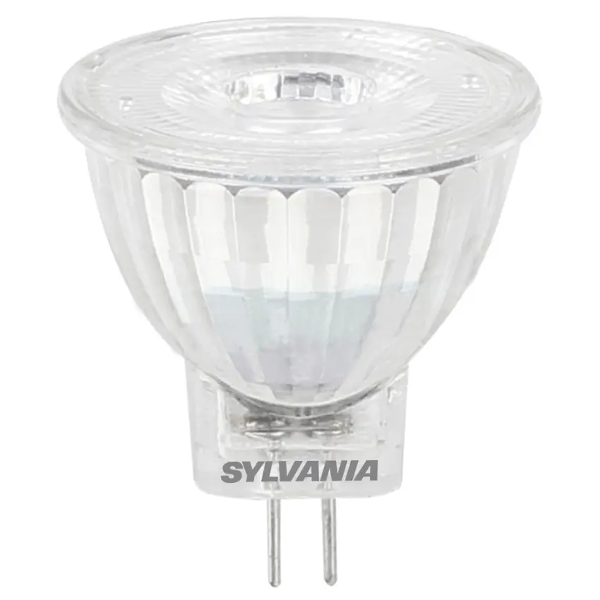 SYL_0028266.jpg