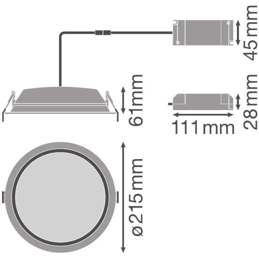 LDV_asset-3258415 (2).jpg