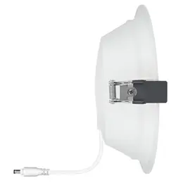 LDV_asset-3258418 (2).jpg