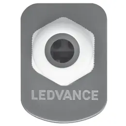 LDV_asset-2248448 (2).jpg